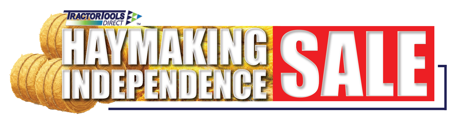 Horizontal Logo - HMIS